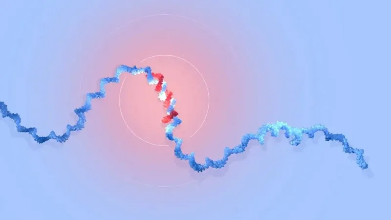 microarn_1.jpg_1756841869