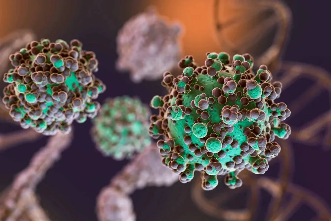 hantavirus-1-1