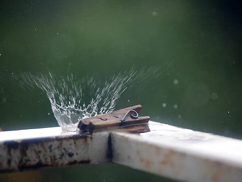 49822079081_8af137327b_o