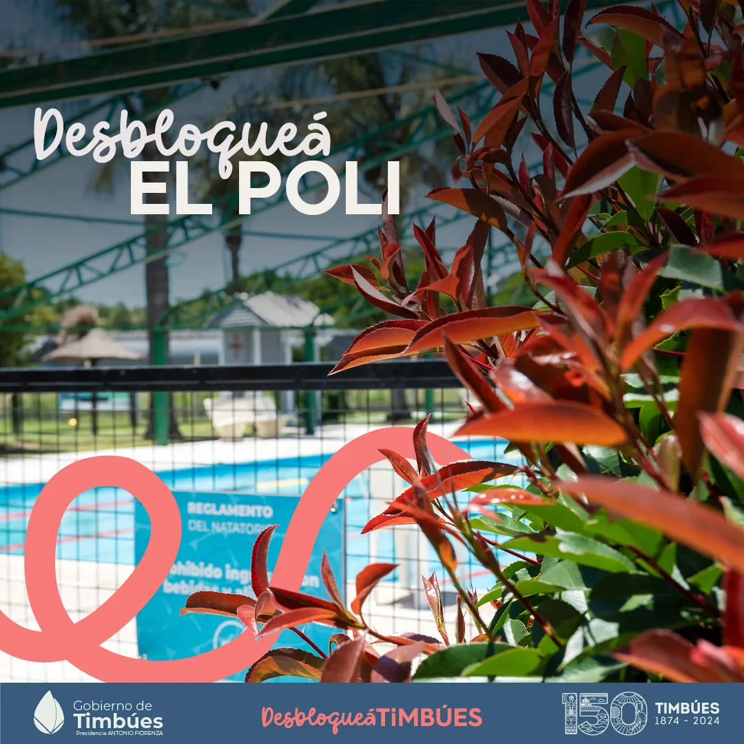 ccd411f6-32d7-4c1a-9f64-7b85c72a0c19