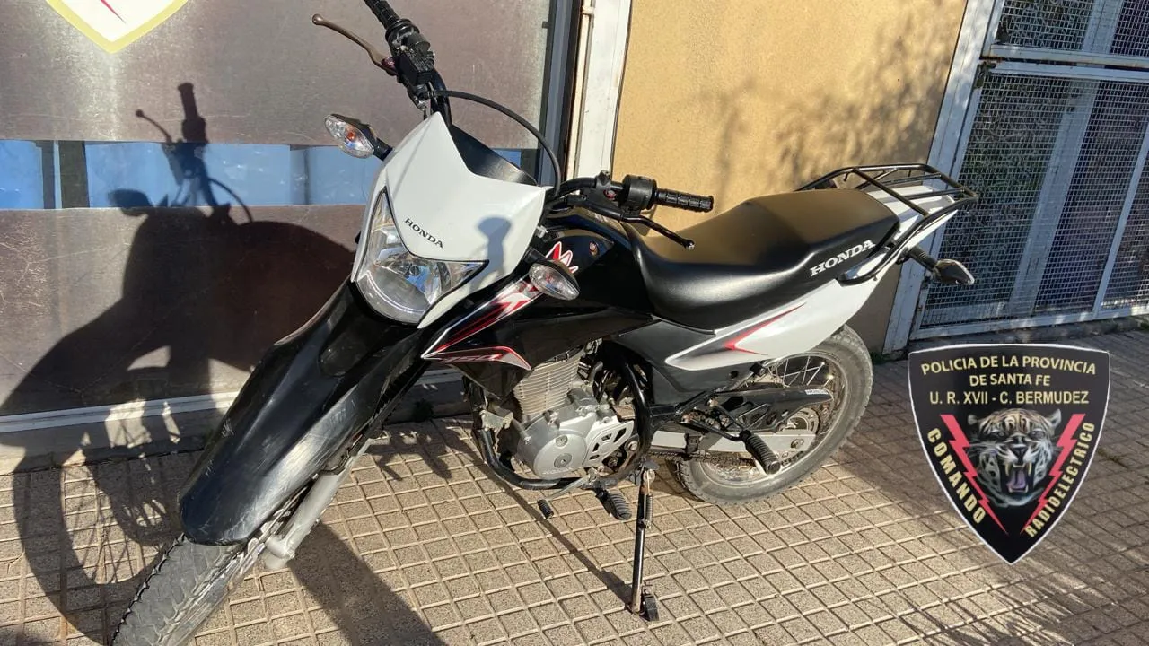 WhatsApp Image 2025-01-31 at 09.02.48