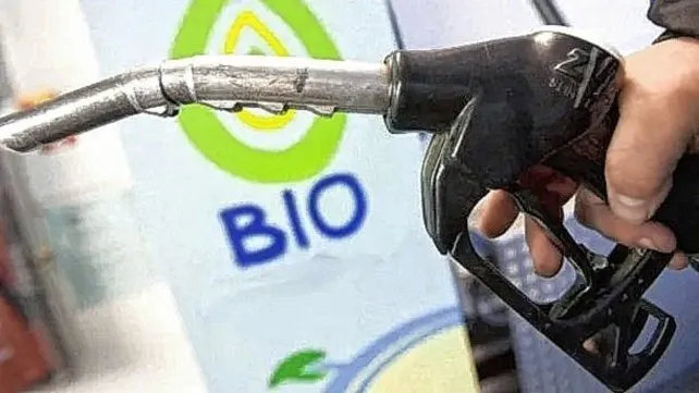 biodiesel-gasoil-combustibles-jpg