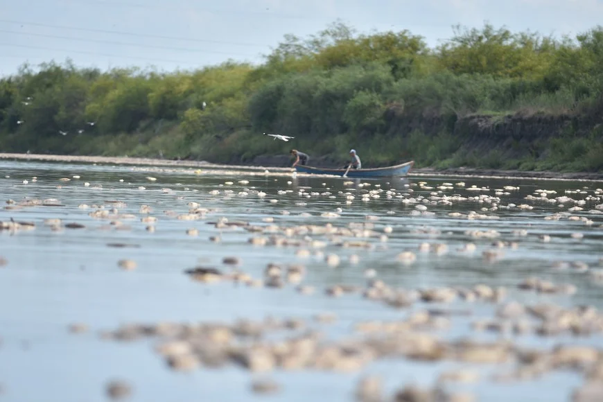 gVRoHqopy_870x580__1