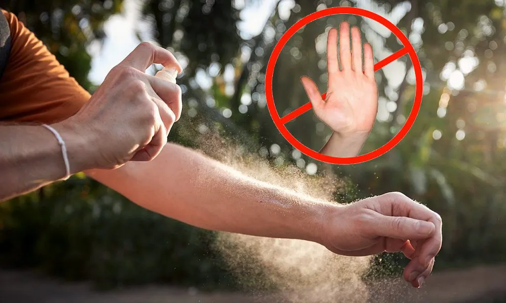 Proyecto-nuevo-2025-01-22T131843.438-1024x614