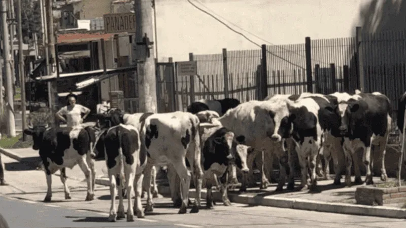 disexo_sin_txtulo_x2x.png_1756841869