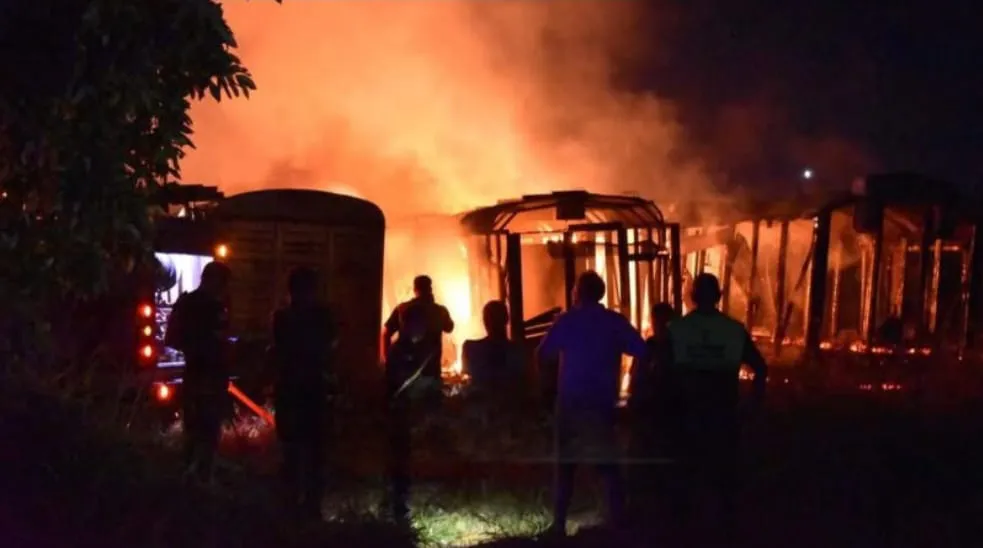 WhatsApp Image 2025-01-08 at 23.47.46 (1)