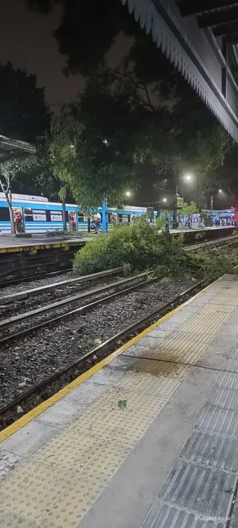 912625-tormenta-20amba-204