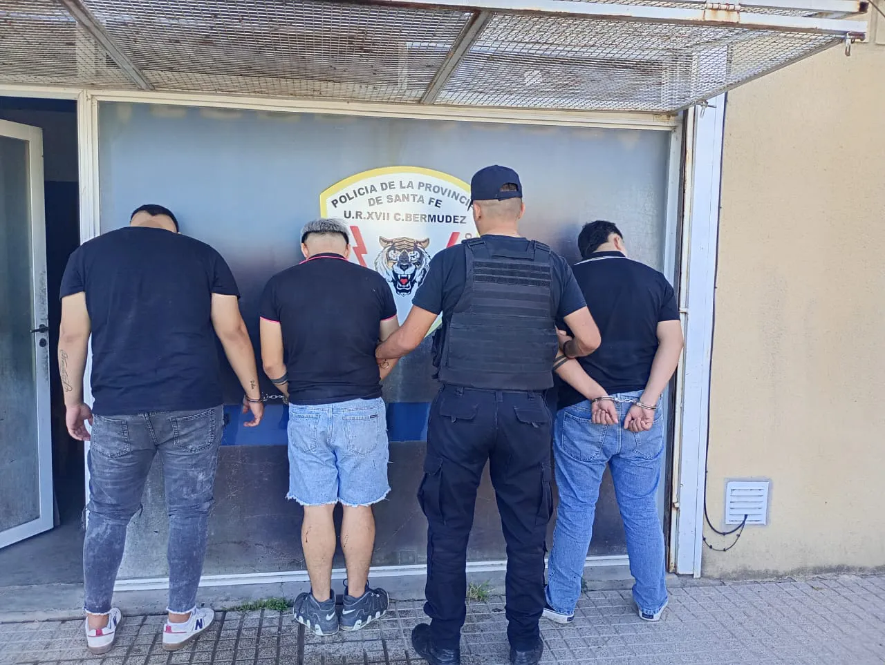 WhatsApp Image 2025-02-08 at 13.28.01