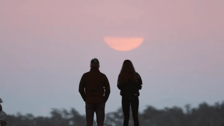 luna_rosa_de_abril_1_crop1713974487286.png_1833193316