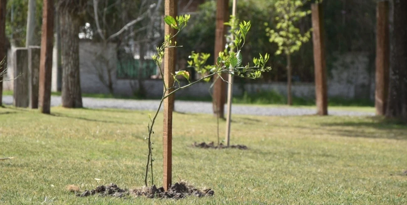 yLXiuyheV_1300x655__2