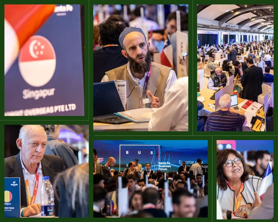 WhatsApp Image 2024-09-04 at 15.28.51