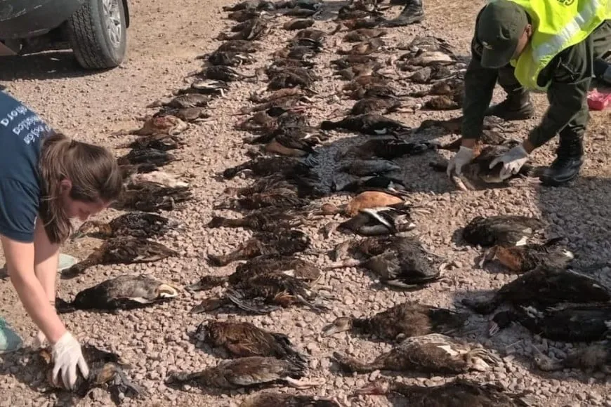 PlALIUOis_870x580__1