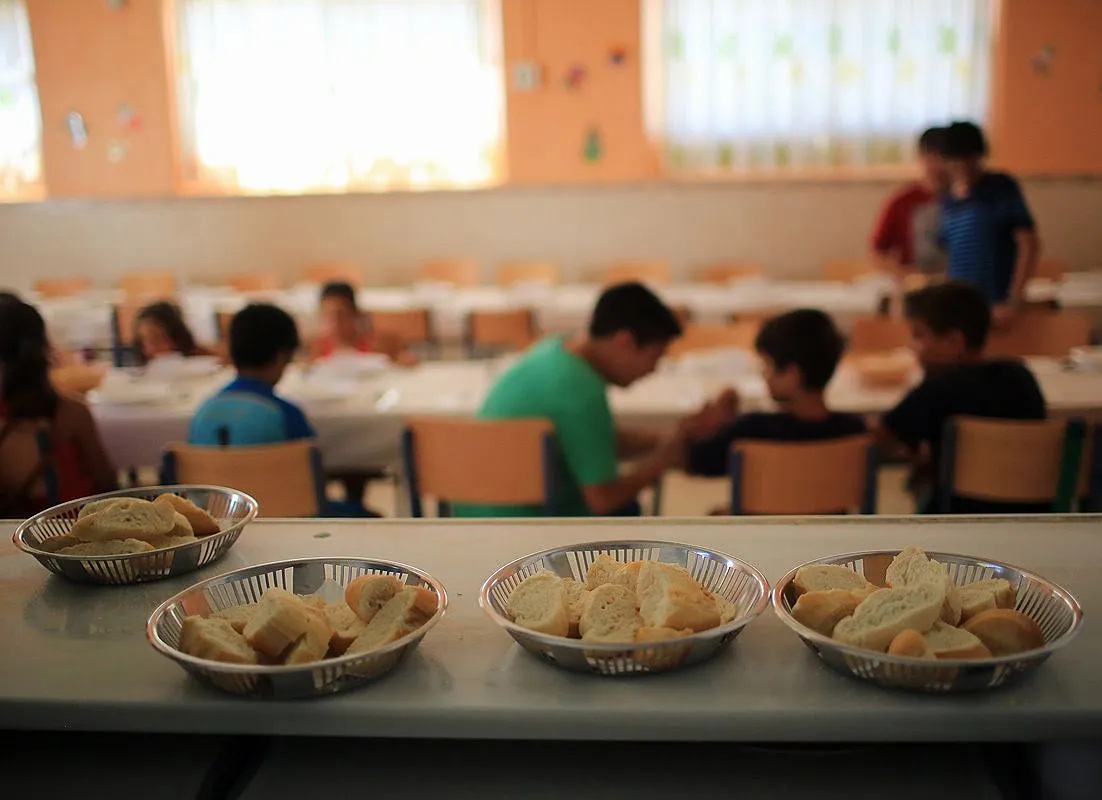 Proyecto-nuevo-2024-08-21T140922.709