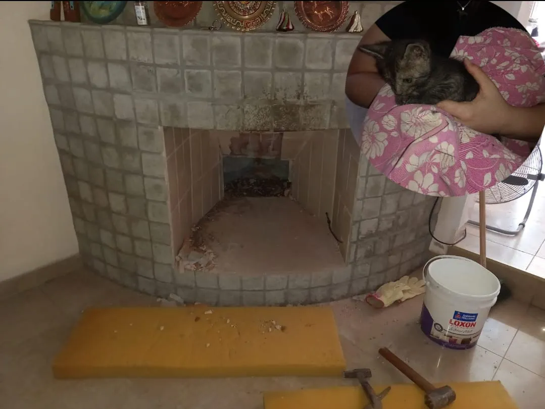 8054505d-e579-411d-93d1-abeeabc9a58a