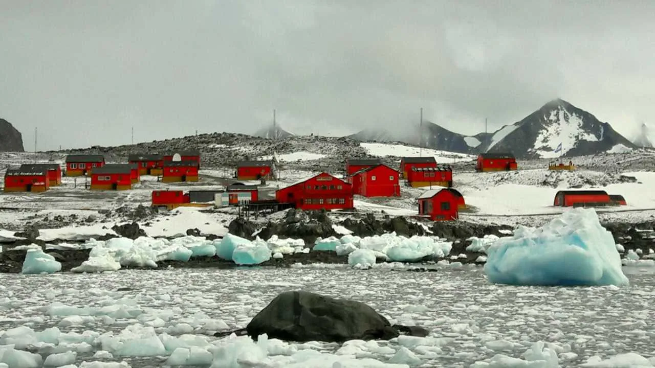 antartida-docentes-1