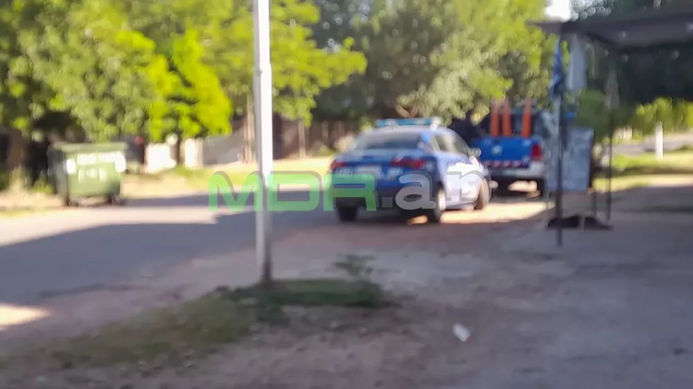 Imagen de WhatsApp 2023-01-04 a las 17.47.46