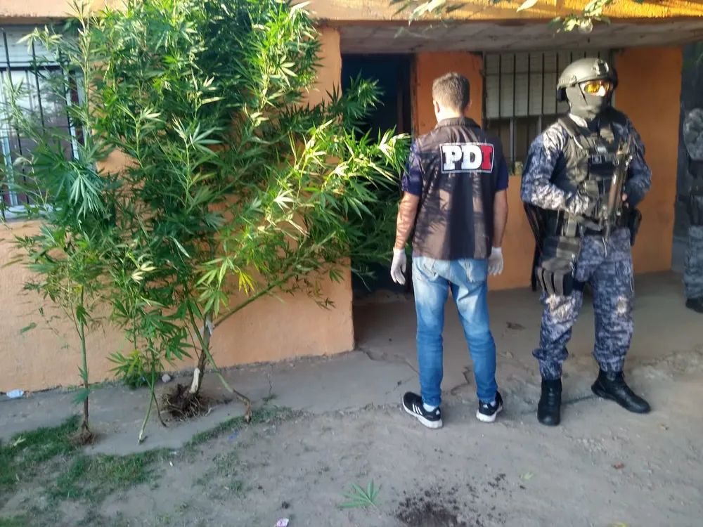 WhatsApp Image 2024-02-21 at 18.55.00