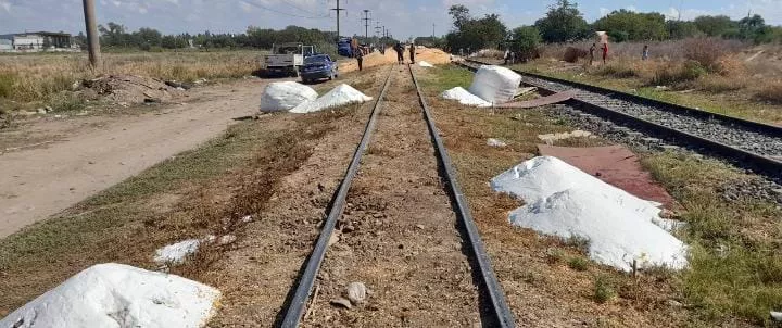 WhatsApp Image 2023-03-18 at 17.10.42 (1)