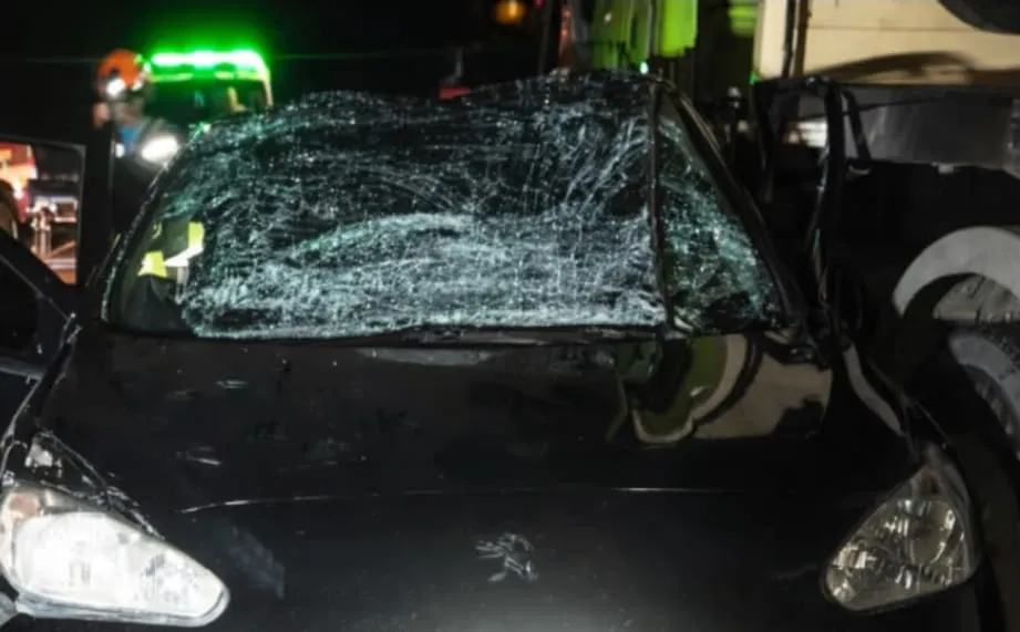 WhatsApp Image 2026-02-06 at 12.24.49