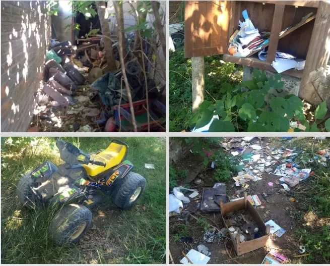 WhatsApp Image 2024-01-25 at 00.09.08