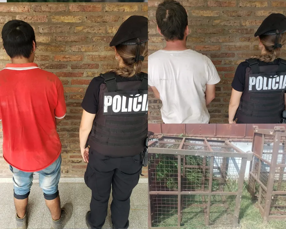 Blanco 3 Paneles Historietas_20231201_210442_0000