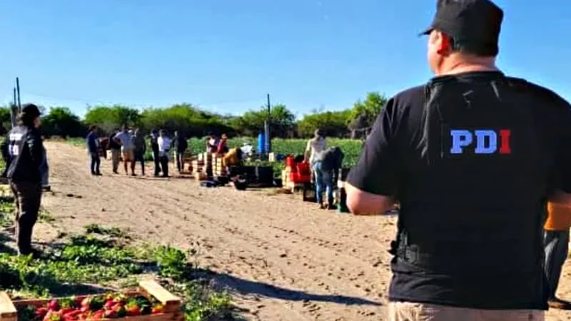 operativo-frutilla-edit