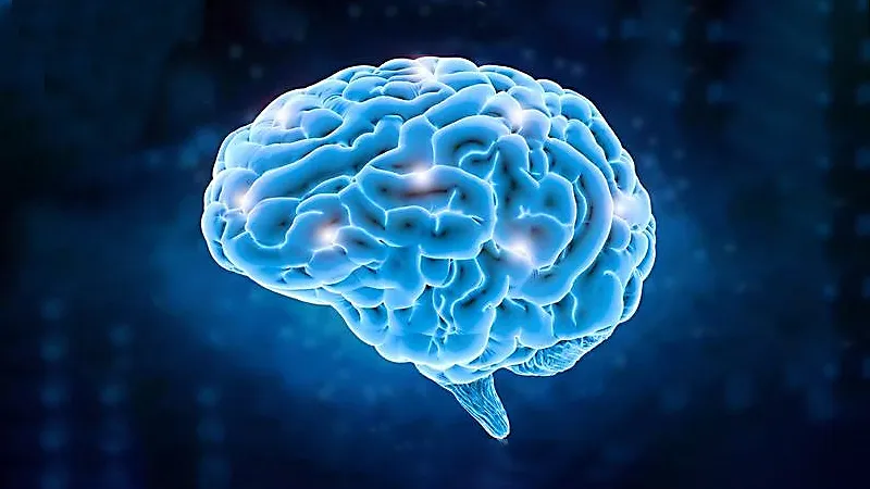 Dia-Mundial-del-Cerebro-22-de-julio