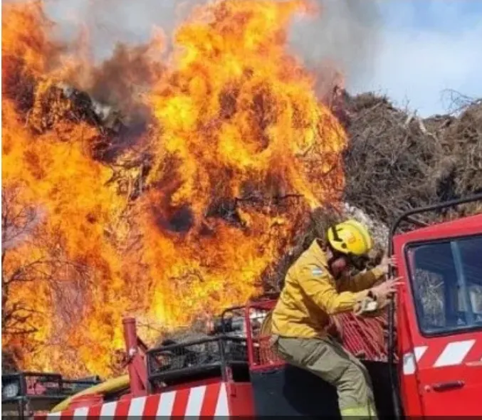 Screenshot_20230815_100513_Facebook