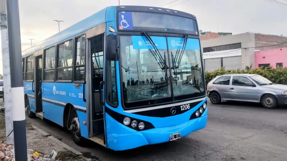 colectivo