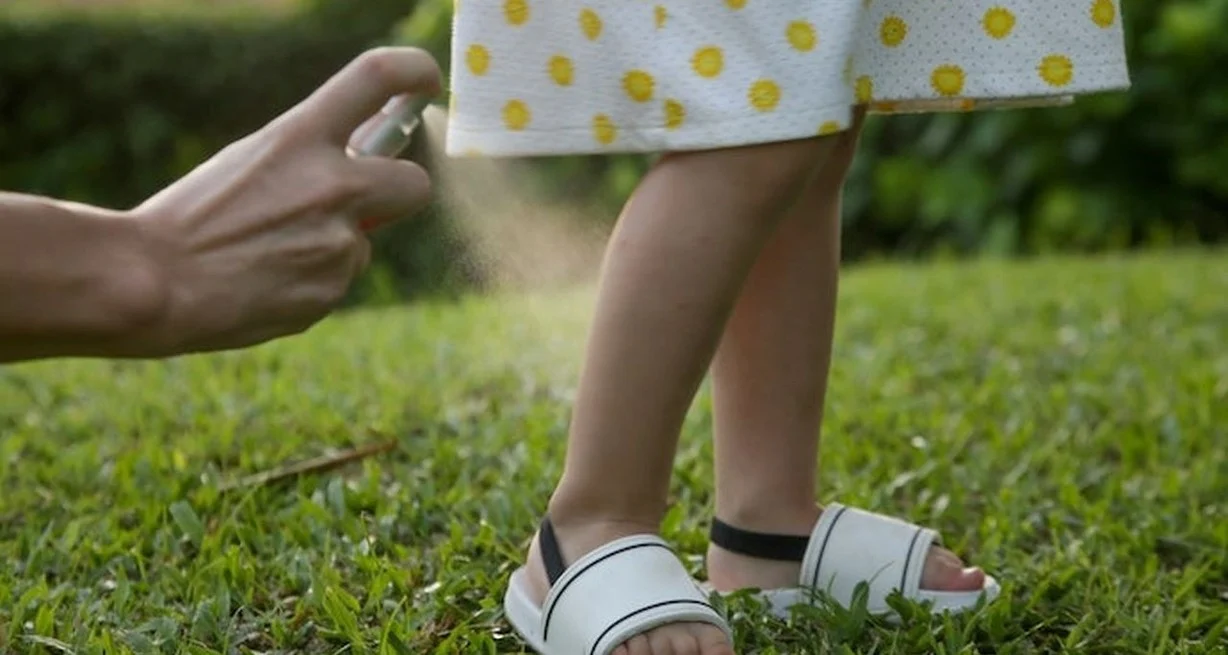 QzIYgg0PV_1300x655__2