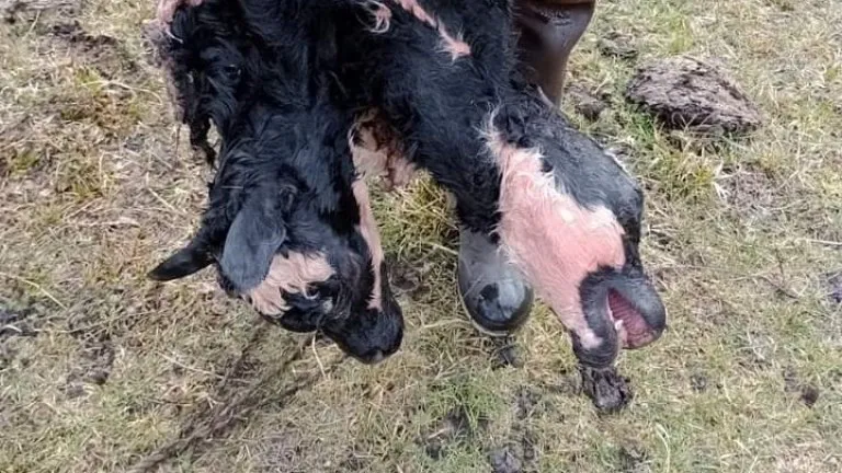 5aa8990f2be6e0f696cc504c96783b09_M