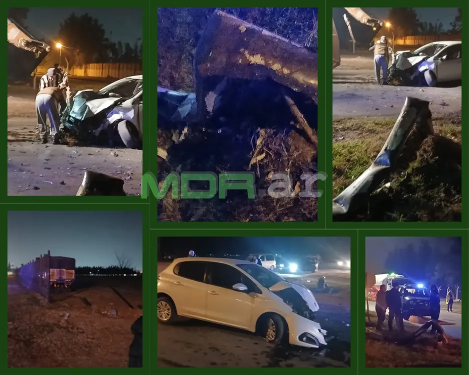 WhatsApp Image 2024-08-17 at 16.19.47 (1)