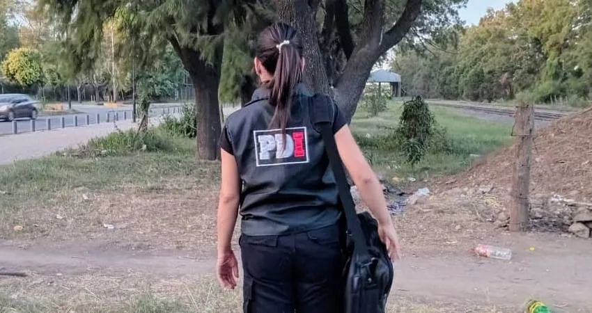 Proyecto-nuevo-2025-01-10T081036.927