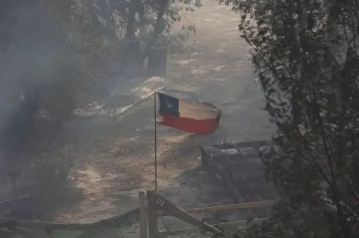 WhatsApp Image 2024-02-12 at 23.09.38