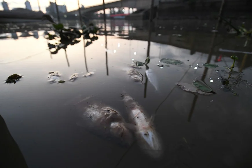 r2RtZ0lto_870x580__1