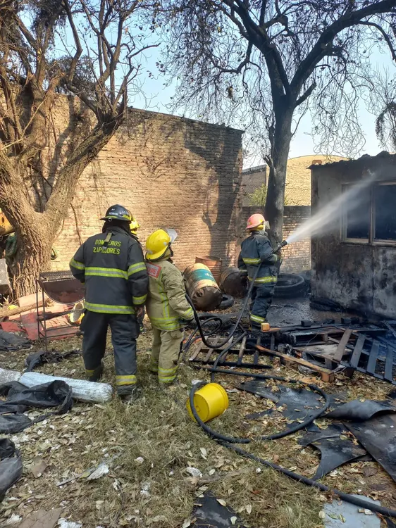 WhatsApp Image 2024-08-02 at 18.20.24