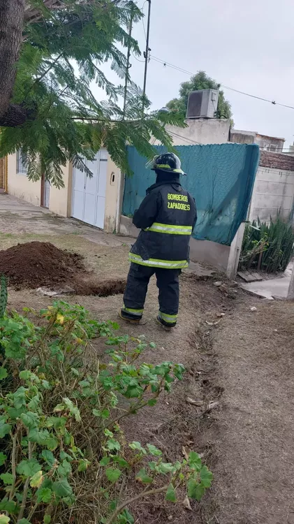 WhatsApp Image 2023-04-22 at 11.47.13