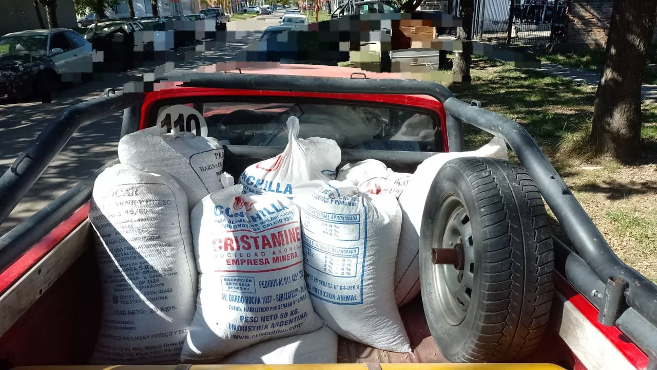 WhatsApp Image 2023-05-03 at 17.29.40