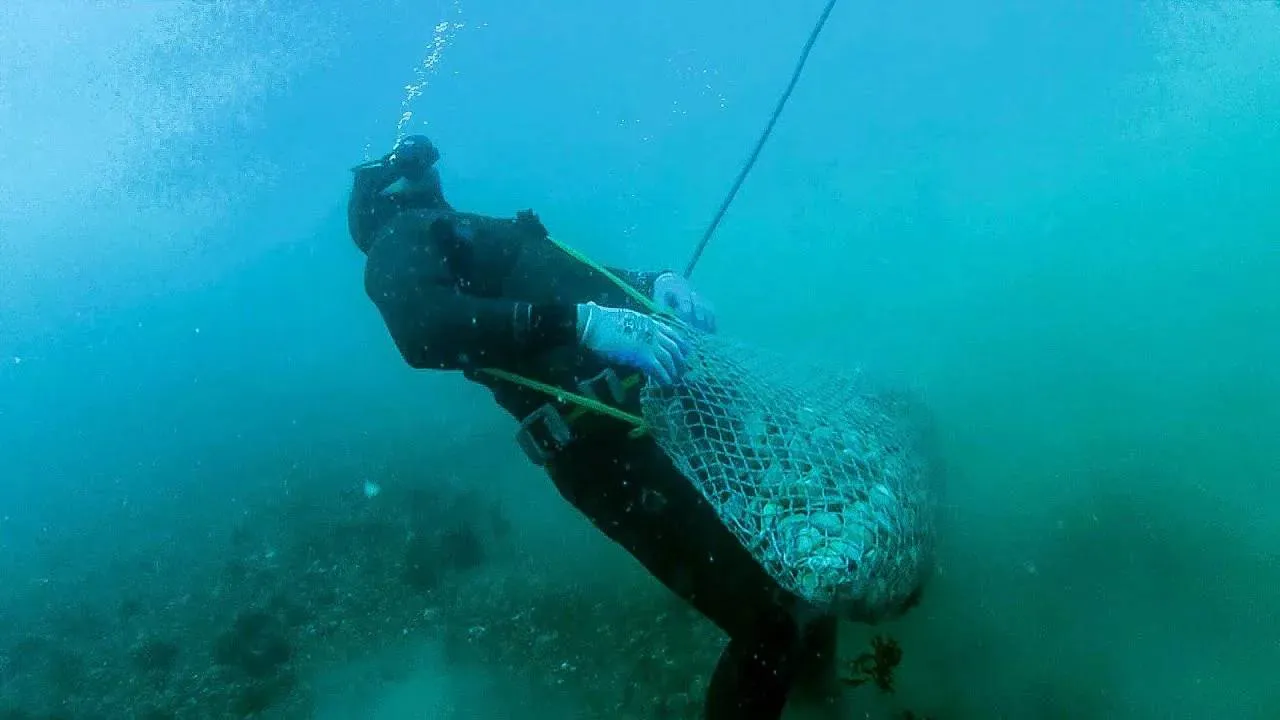 pescador