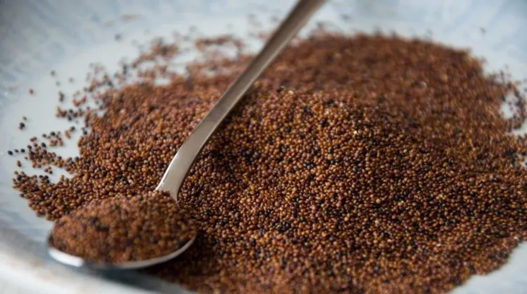 Screenshot_20241111_234638_Samsung Internet