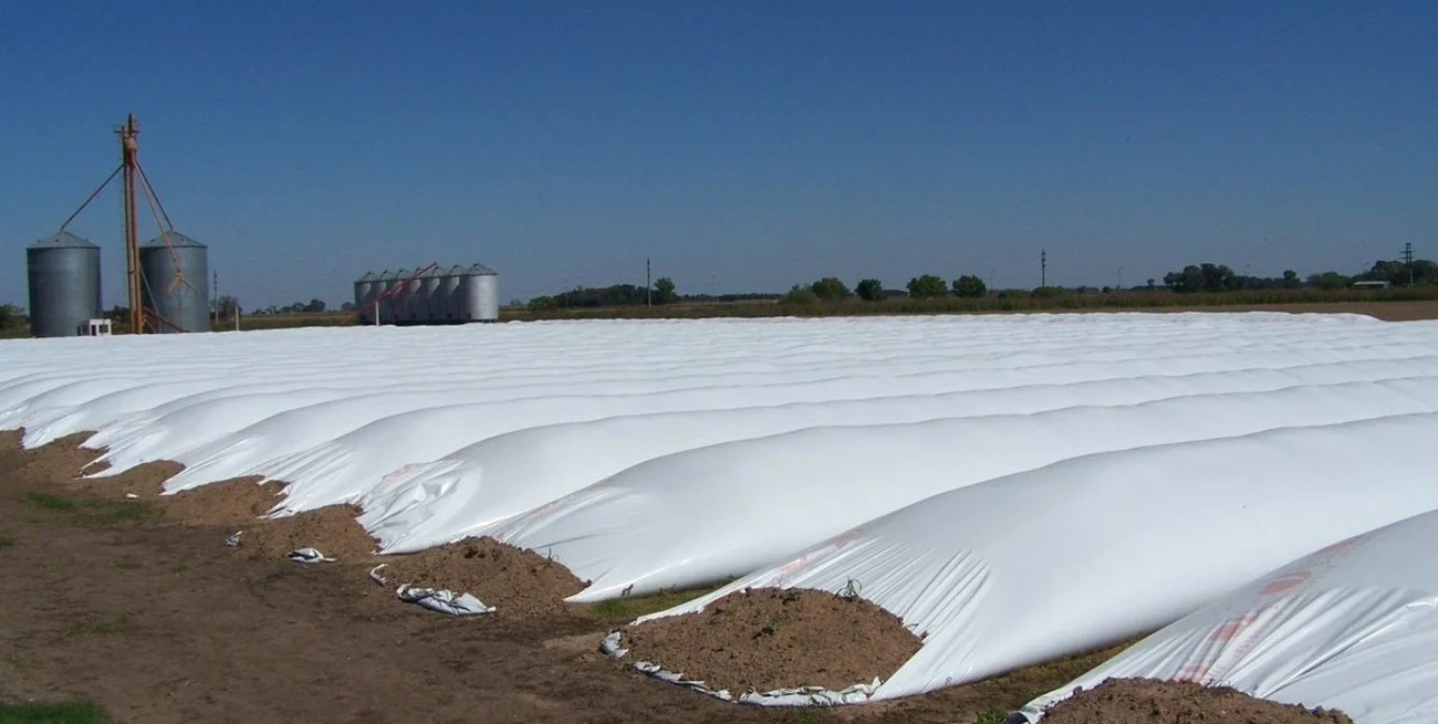 2-pU0_PqX_1300x655__1