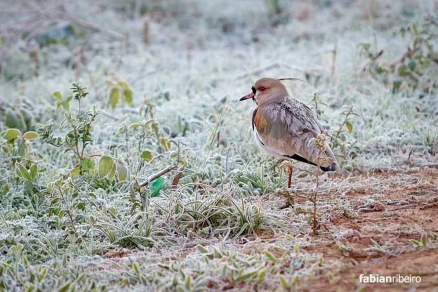 c_YEi0sJC_870x580__1