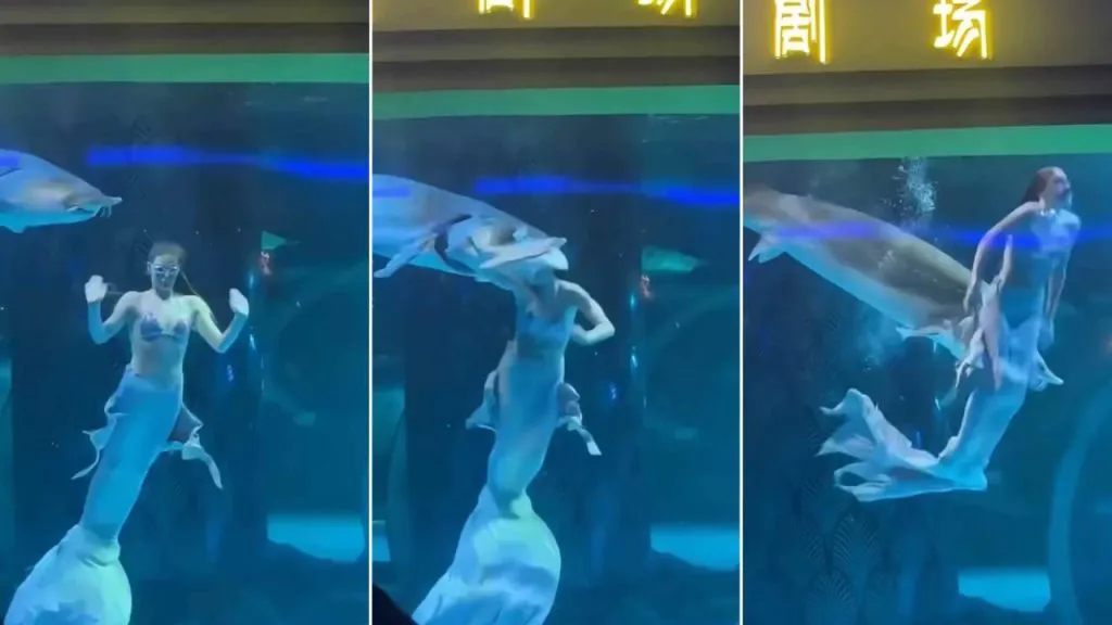 ataque-sirena-1-1024x576