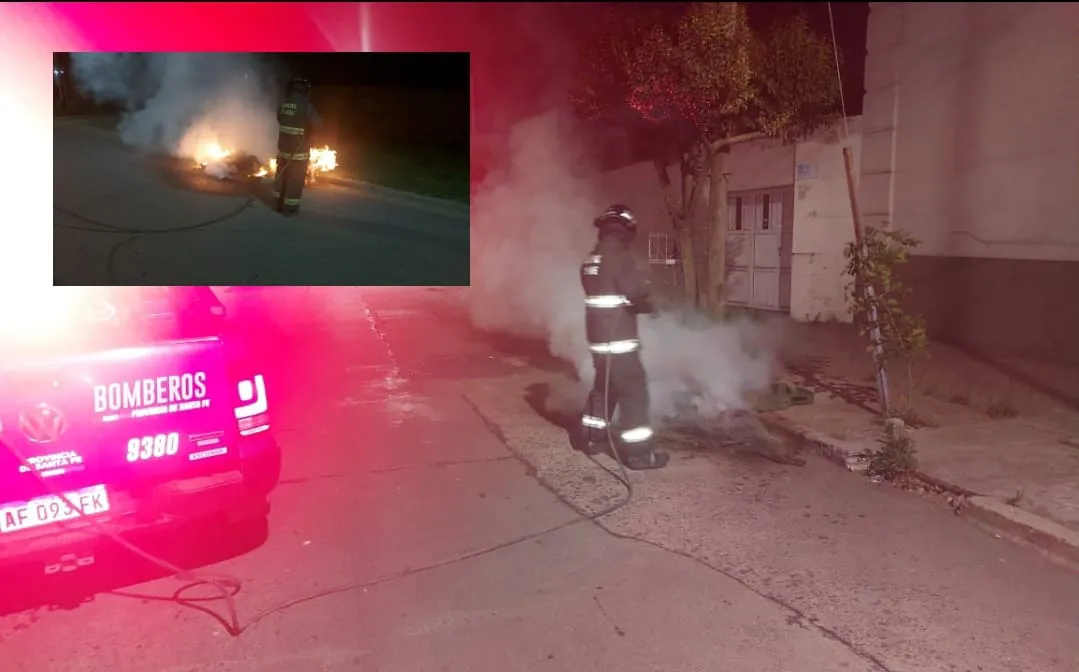 WhatsApp Image 2024-12-28 at 19.54.19