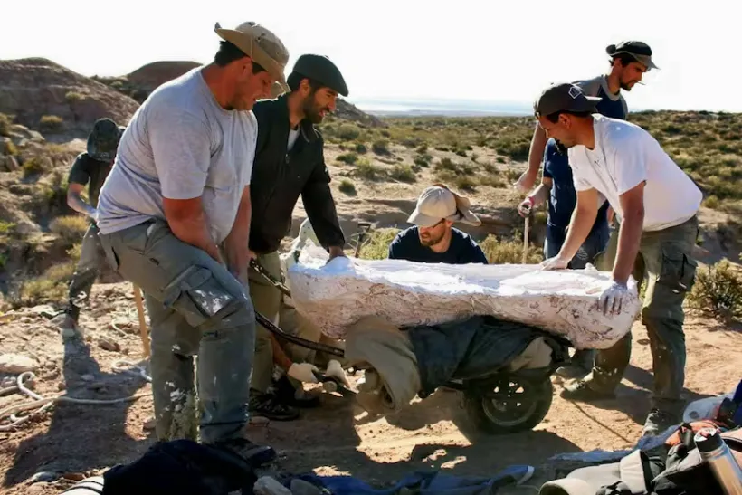 Proyecto-nuevo-2024-10-26T164955.454-1