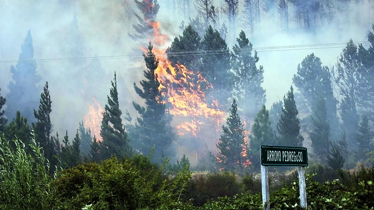 incendios-chubut