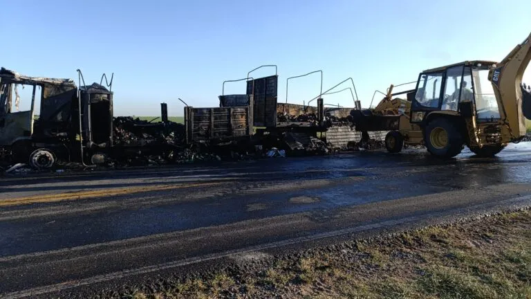 IMG-20241210-WA0007-1-768x432