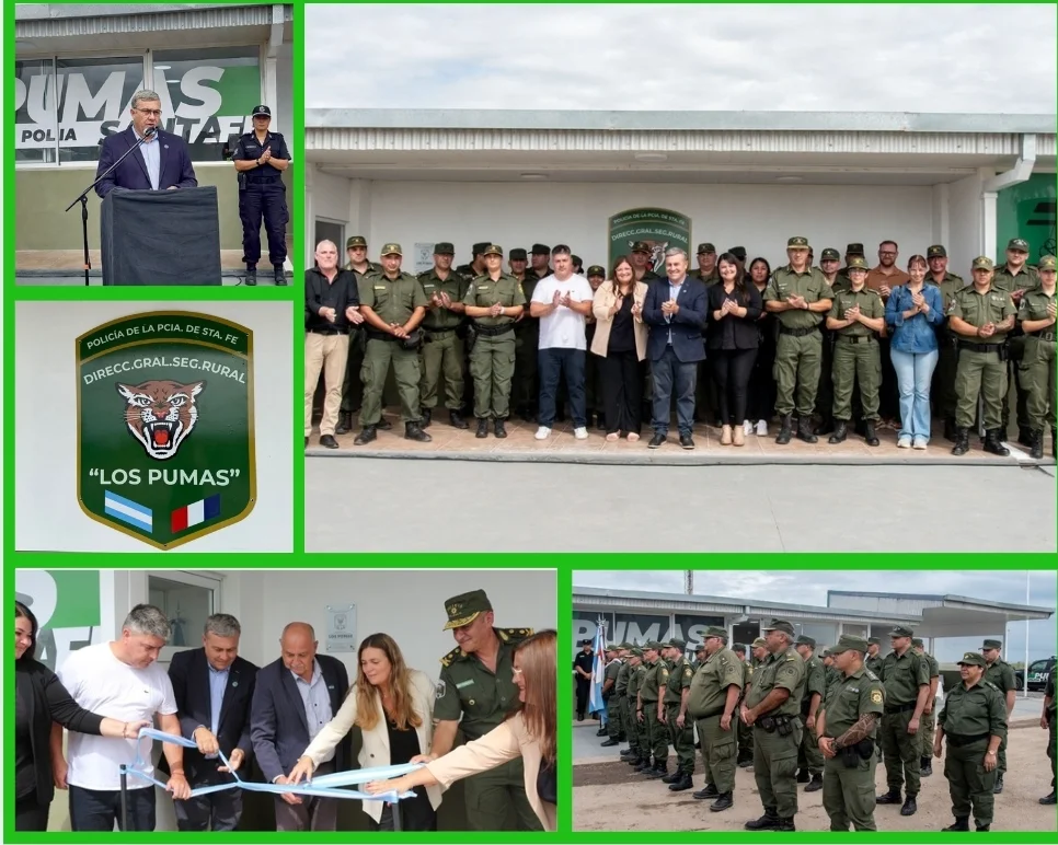 WhatsApp Image 2026-03-28 at 00.14.17