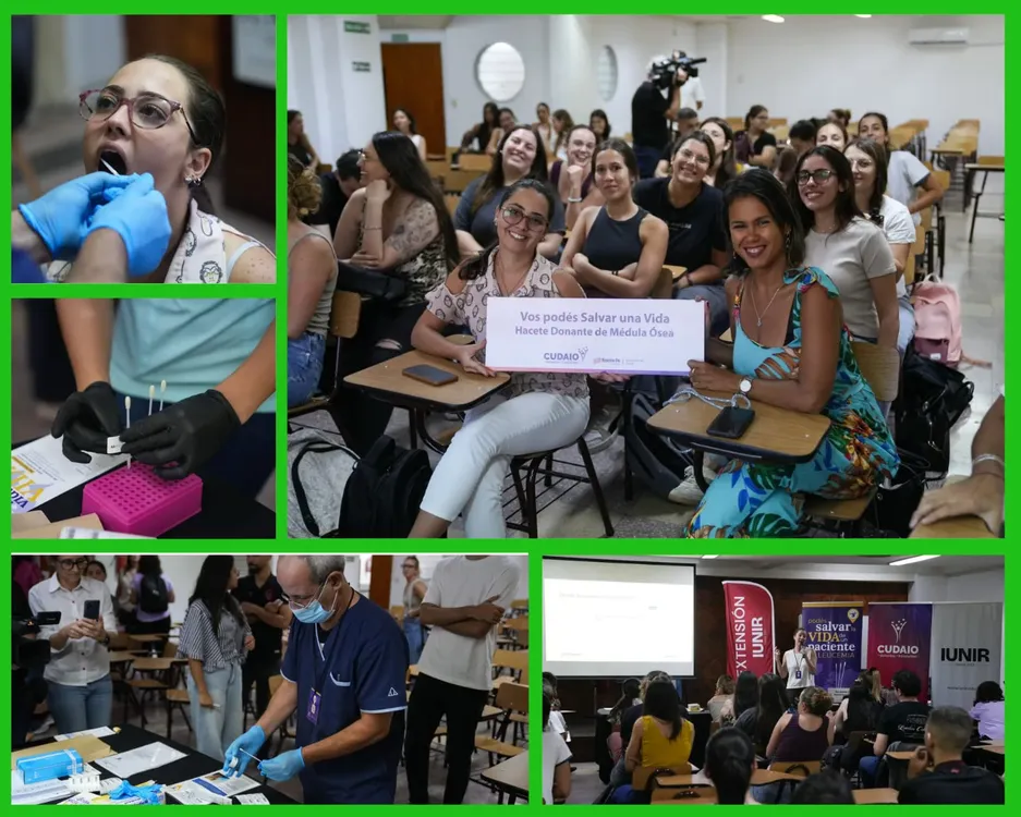 WhatsApp Image 2026-04-02 at 20.10.55 (1)