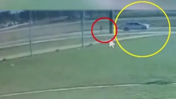 fotojet_x1x_1_crop1718830683532.jpg_1833193316